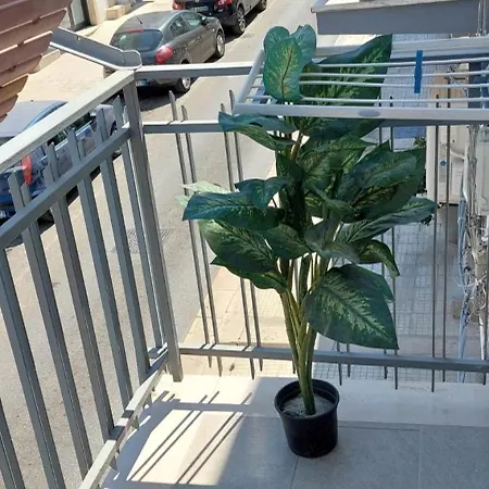 Ti Aspetto Al Barco *